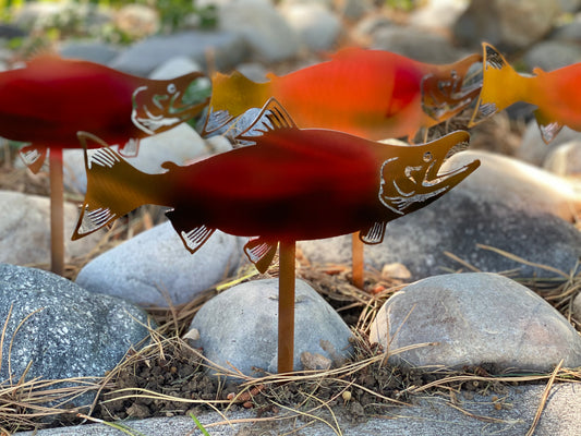 Metal Coho Salmon Garden Stakes – Durable Outdoor Fish Art - RMMDecor