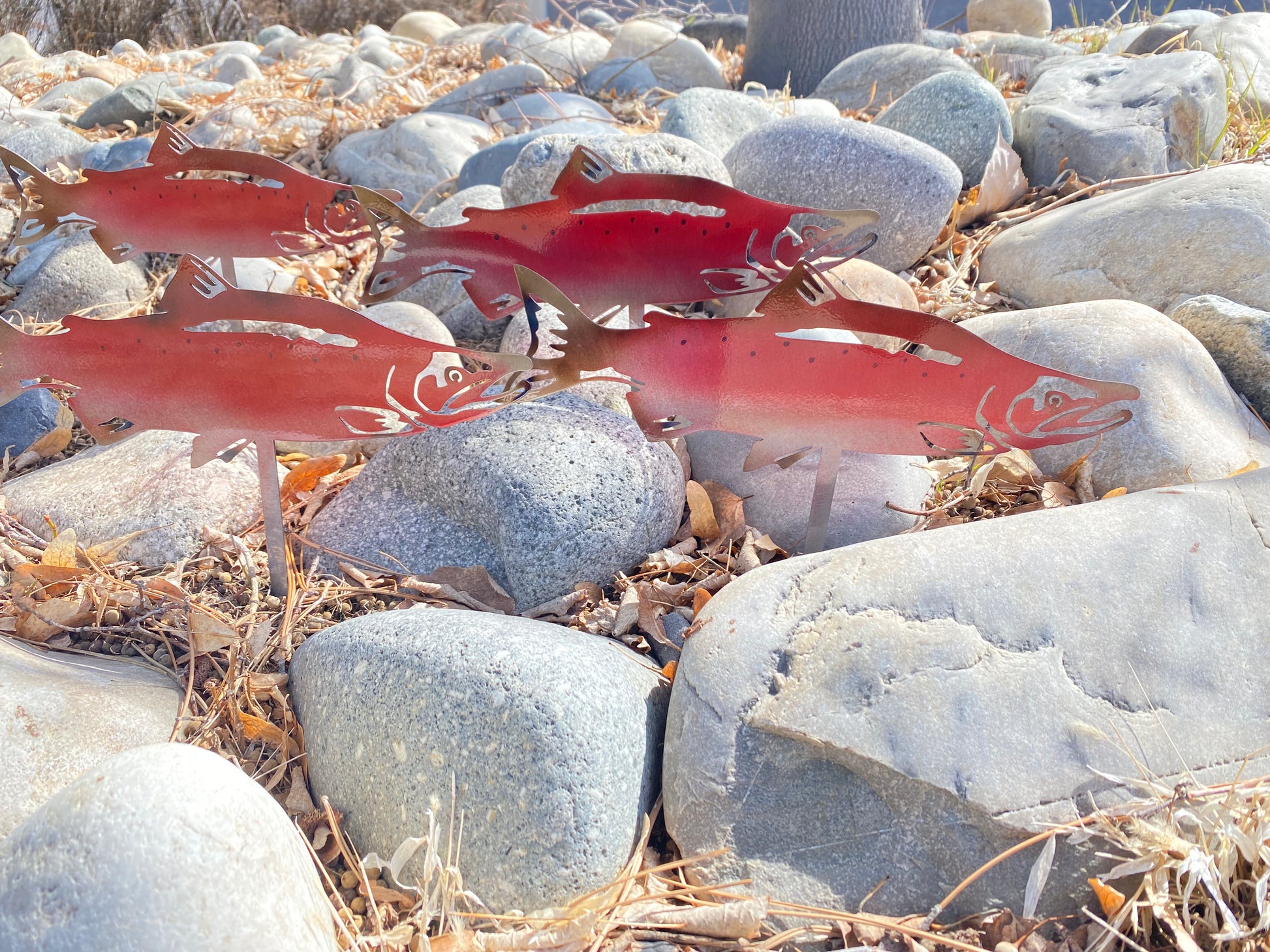 Metal Salmon River Rock Garden Decor – Powder Coated Yard Art - RMMDecor