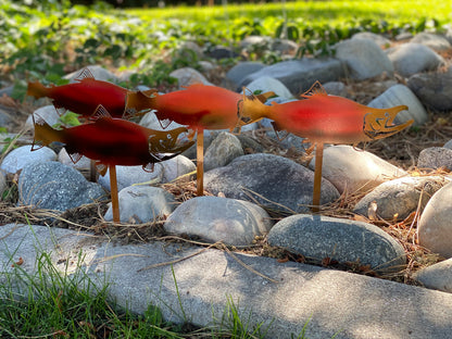 Salmon flower bed stakes - RMMDecor